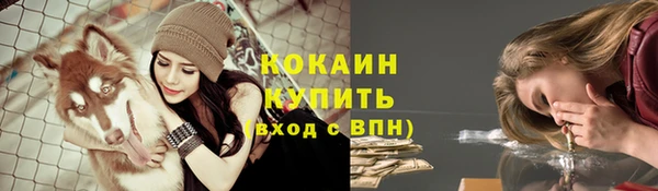 гашик Беломорск