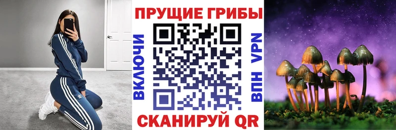 Псилоцибиновые грибы Magic Shrooms  Сегежа 