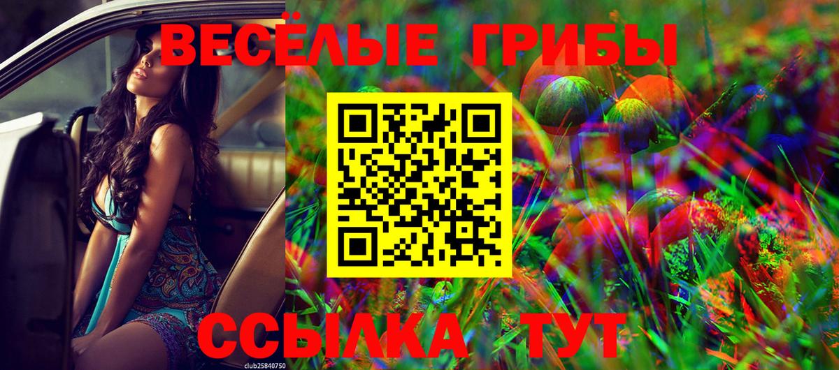 Псилоцибиновые грибы Magic Shrooms  Вход с VPN  Сегежа 